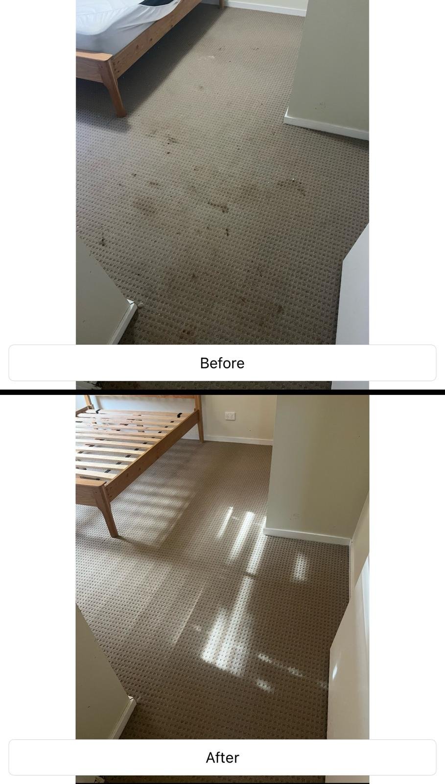 Carpet Before & After - CleanCrew Melbourne